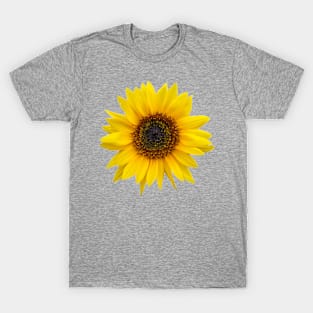 Sunflower T-Shirt